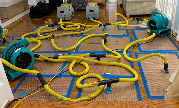 Professional Crawl Space Water Removal technician working in California, MD